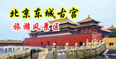 女人裸艺中国北京-东城古宫旅游风景区